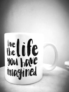 17101898_10212695260166465_2087131507_n