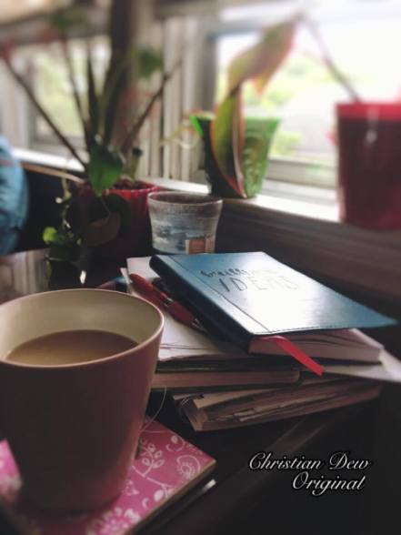 19022195_10213691273066165_637118071_n