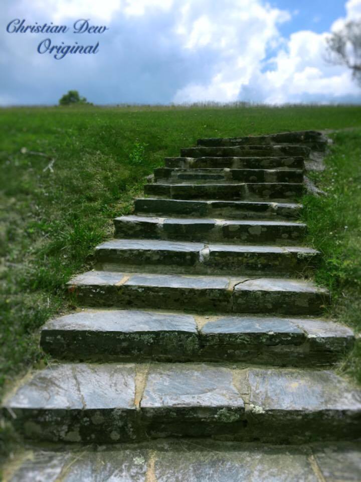 19114679_10213733315397197_133511470_n