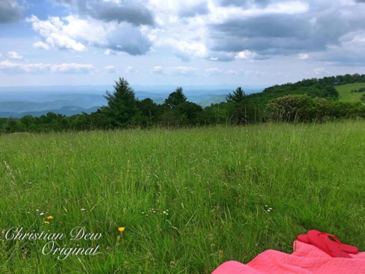 19142243_10213733315557201_954021664_n (1)