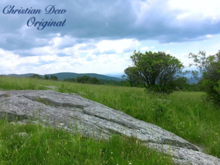 19184414_10213733344437923_1703060116_n